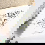 Einladungskarten zur Kommunion firmung