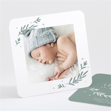 Geburtskarte silberne blätter