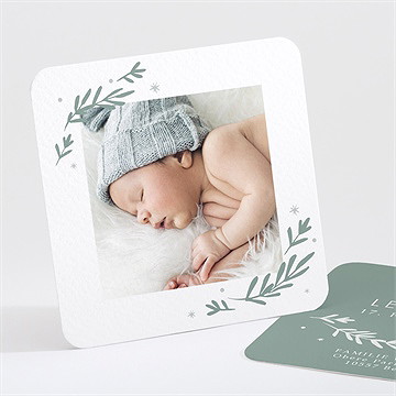 Geburtskarte Silberne Blätter