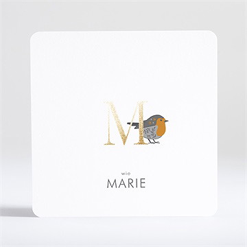 Geburtskarte Rotkehlchen Mit Vergoldung