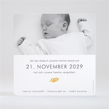 Geburtskarte Rotkehlchen Mit Vergoldung - Vue 3