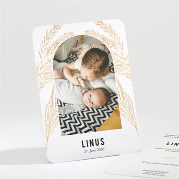 Geburtskarte schöne alkove