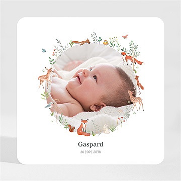 Geburtskarte Kleine Waldtiere - Magnet