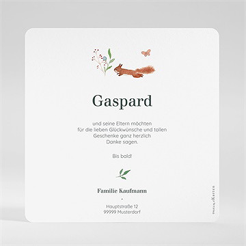 Dankeskarte Geburt kleine waldtiere - vue 2