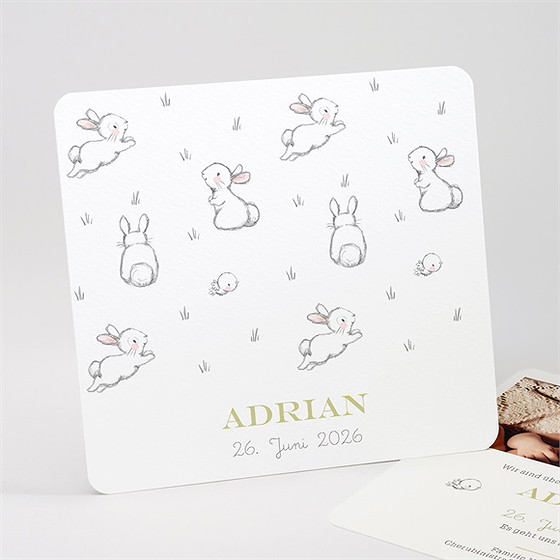 Geburtskarte Hasen Party