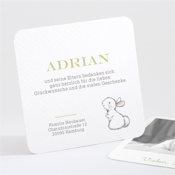 Dankeskarte Geburt Hasen Party ref.N30169