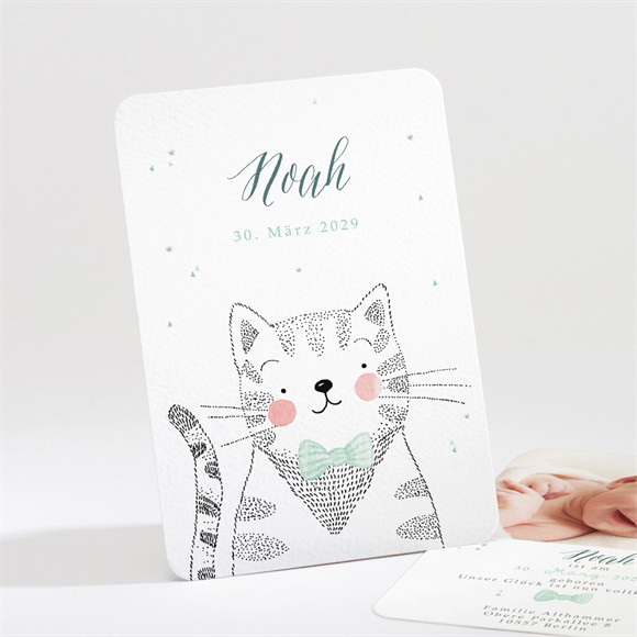 Geburtskarte Dandy ref.N211183