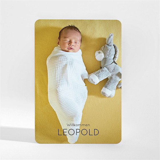 Geburtskarte Zarte Silhouette