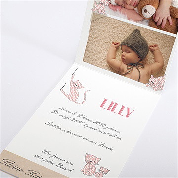 Geburtskarte Kätzchenkarte - Karte innen