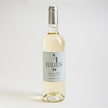 Flaschenetikett Taufe Silhouette Junge - Vue 2