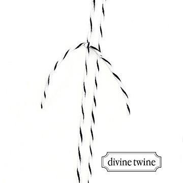 Hochzeitseinladung Unsere Story - Schnur Detailansicht