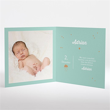 Geburtskarte Schneewolken Grün - Vue 2