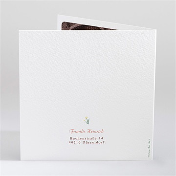 Geburtskarte Fuchsfamilie - Vue 3