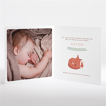 Geburtskarte Fuchsfamilie - Vue 2