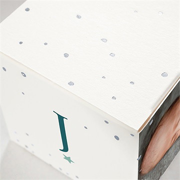 Geschenkbox Taufe blätterranke - silber - Vue 2