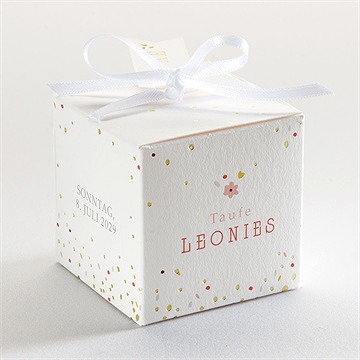 Geschenkbox Taufe blühendes glück - silber - Vue 3