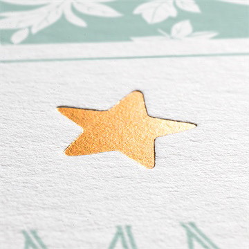 Geburtskarte Blätter Und Sterne - Vue 2