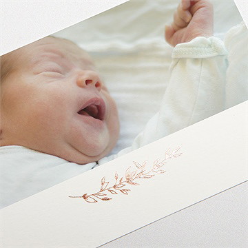 Dankeskarte Geburt Verkupferte Blätter - vue 3