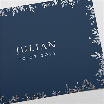 Geburtskarte Silberner Blätterkranz - vue 3