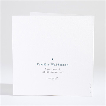 Geburtskarte Silber Und Aquarell - Vue 4