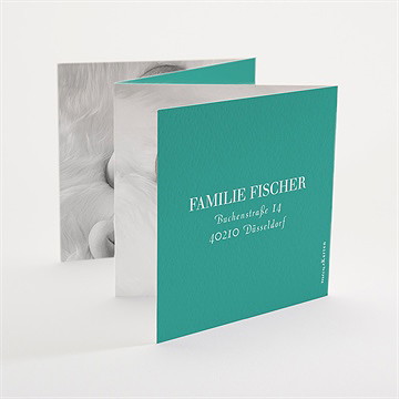 Geburtskarte Mintfarben - Vue 3