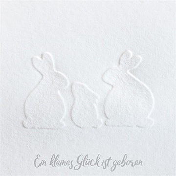 Geburtskarte silhouetten - Vue 2