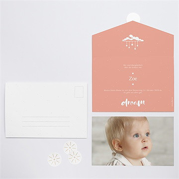 Geburtskarte All-In One Karte Mädchen - Vue 3