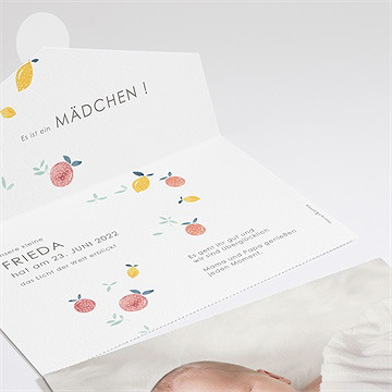 Geburtskarte Zitrusfrüchte - Vue 2