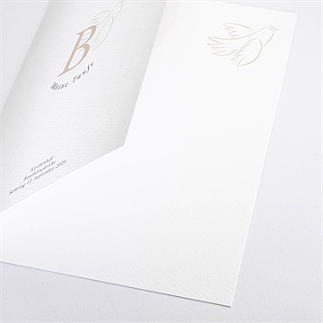 Kirchenheft Taufe goldene taube - Vue 2