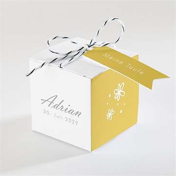 Geschenkbox Taufe teddy