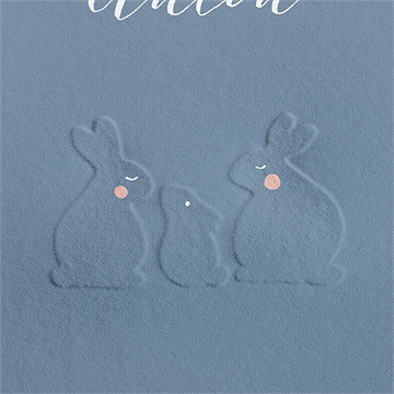 Geburtskarte häschen hop - Vue 2