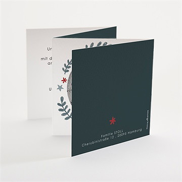 Geburtskarte Rotkehlchen - Vue 3