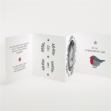 Geburtskarte Rotkehlchen - Vue 2