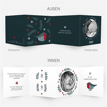 Geburtskarte Rotkehlchen - Vue 2