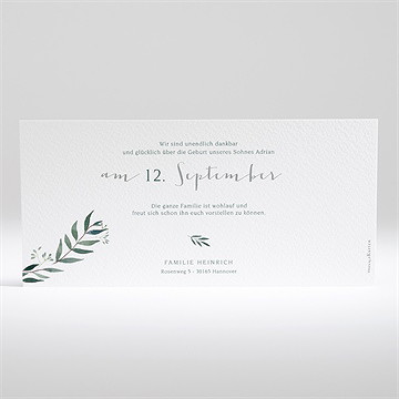 Geburtskarte Natürliche Harmonie - Vue 2