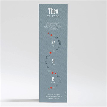 Geburtskarte Winterliche Gestaltung - Vue 2