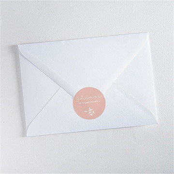 Sticker Geburt Einfacher Rahmen Und Foto - Vue 3