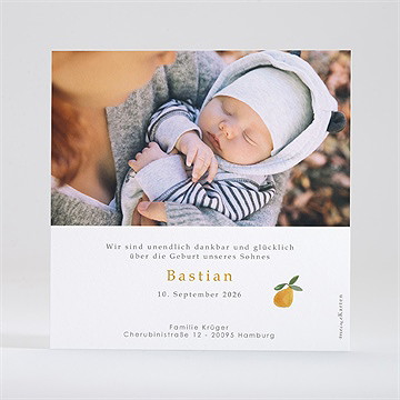 Geburtskarte Fruchtig - Vue 3