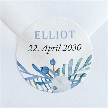 Sticker Geburt blaubeerstrauß