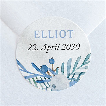 Sticker Geburt Blaubeerstrauß