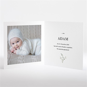 Geburtskarte tieralphabet - Vue 2