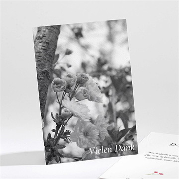 Trauerdanksagung In Gedenken