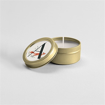 Kerze Geburt tieralphabet - Vue 3