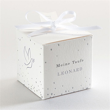 Geschenkbox Taufe doppeltes porträt - silber - Vue 3