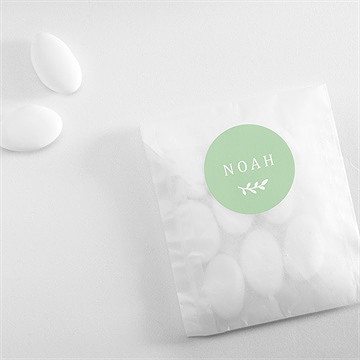 Sticker Geburt wonderful boy - Vue 4