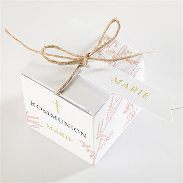 Geschenkbox Kommunion Pflanzendrucke - Vue 3