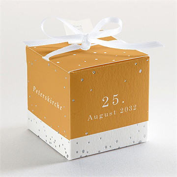 Geschenkbox Kommunion Senfgelb - Silber - Vue 3