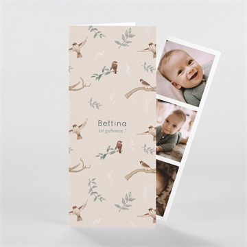 Geburtskarte vogelgesang