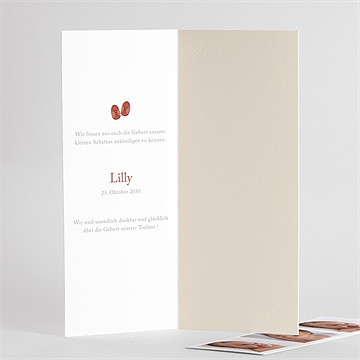 Geburtskarte kleines babykörbchen - vue 3