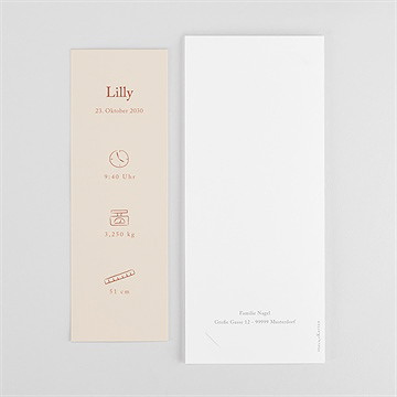 Geburtskarte kleines babykörbchen - vue 4